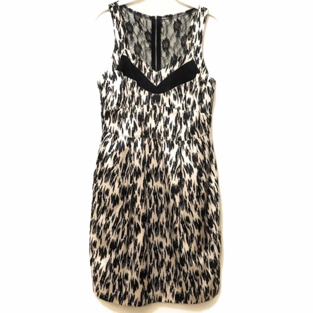 Lace Detail Dress NWOT